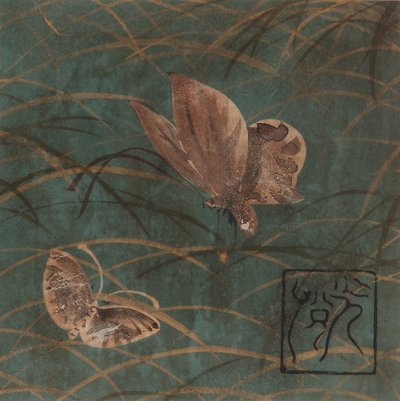 Kelebekler ve çimenler, Edo dönemi, 17. yüzyılın başları. by Hon