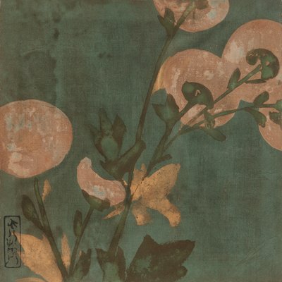 Kasımpatı, Edo dönemi, 16. yüzyılın sonu-17. yüzyılın başı. by Hon