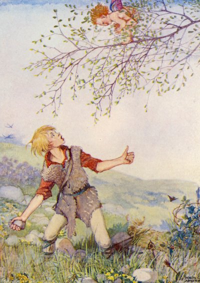  by Honor Charlotte Appleton