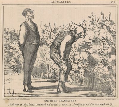 Üzümün nasıl olgunlaştığını izlemeliyim... by Honoré Daumier