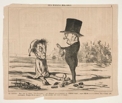 The Scholar - Arkadaşım, the Vine, (Vitis Linnaeus.), şu anda saldırı altında by Honoré Daumier