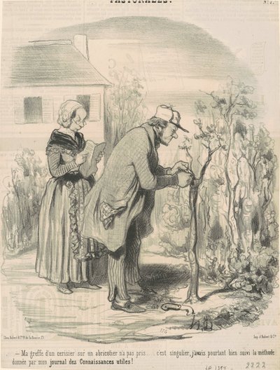 Kayısı ağacına kiraz ağacı aşılamam sürmedi ... by Honoré Daumier