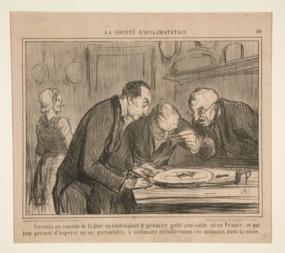 Bilim adamları neşenin zirvesinde ilk küçük timsahı düşünürken by Honoré Daumier