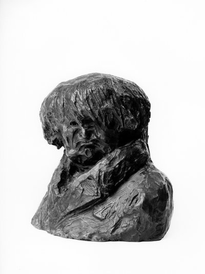 Doktor, milletvekili ve Lyon belediye başkanı Clement Prunelle (1777-1853) tarafından yazılan “Celebrites du Juste Milieu” “Karikatür”” Honore Daumier (1808-1879) tarafından 19. yüzyıl heykelinin büstleri. Dim cm Y 13 x U 15 Inv RF 263 Güzel Sanatlar Müzes by Honoré Daumier
