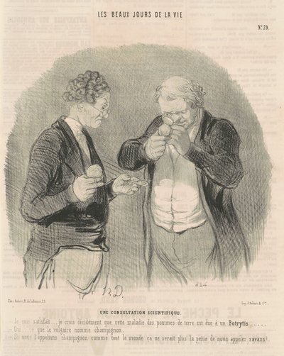 Bilimsel danışma by Honoré Daumier