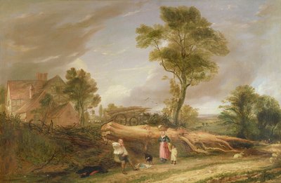 Oduncunun Öğle Yemeği by Hopkins Horsley Hobday Horsley