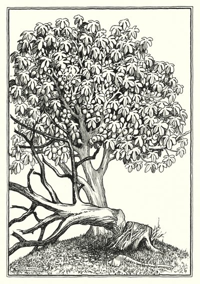  by Horace J. Knowles