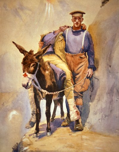 1915 yılında Gelibolu