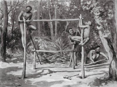 Hayatın Şafağı, Bir Yuva İnşa Etmek (lito) by Horace van Ruith