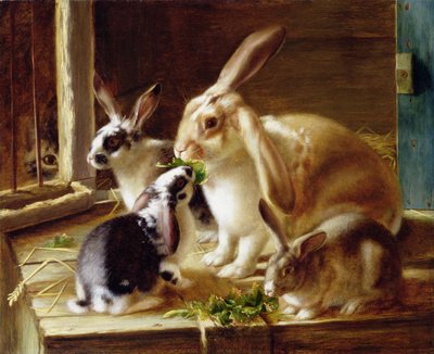 Bir kedi tarafından izlenen bir kafeste uzun kulaklı tavşanlar by Horatio Henry Couldery