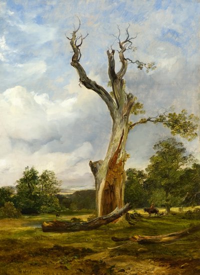 Patlamış Ağaç, 1838 dolayları (tuval üzerine yağlı boya) by Horatio McCulloch