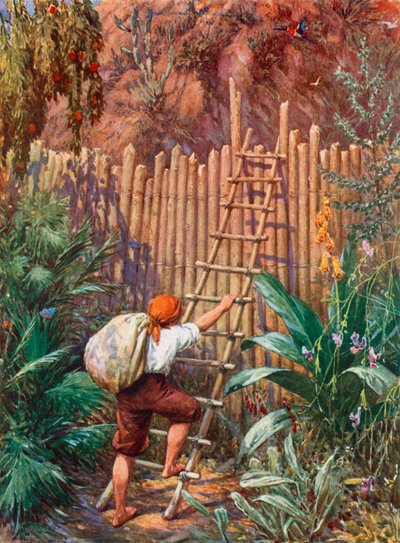 Robinson Crusoe için İllüstrasyon by Howard Davie