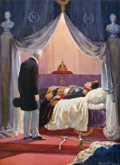 Wellington Dükü Napolyon