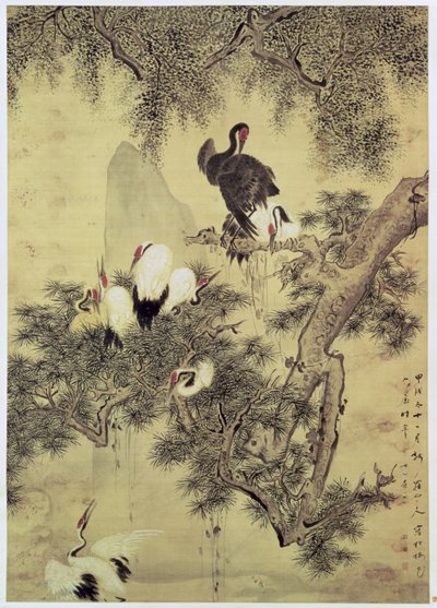 Bir Çam Ağacında Sekiz Kızıl Tepeli Balıkçıl, 1754 by Hua Yan