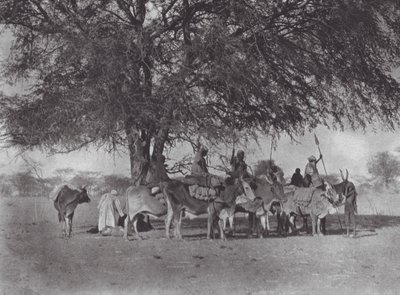 Afrika: Beyaz Nil