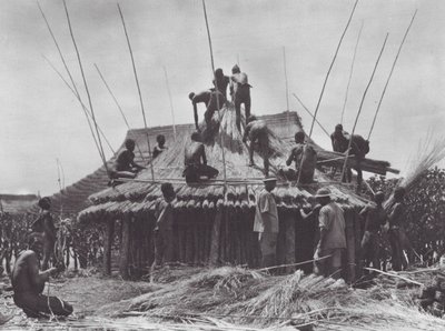 Afrika: Amadi yakınlarında bir dinlenme tesisinin inşası (b/w fotoğraf) by Hugo Adolf Bernatzik