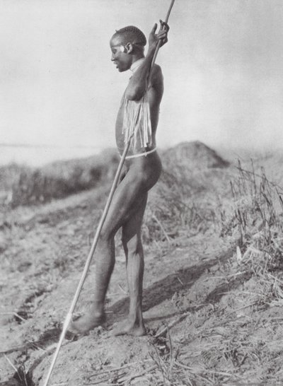 Afrika: Beyaz Nil