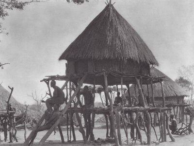 Afrika: Doğu Djur