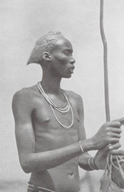 Dinka-Neger (siyah-beyaz fotoğraf) by Hugo Adolf Bernatzik