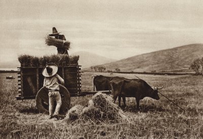 Meksika: Buğday hasadı yapan çiftçiler (b/w fotoğraf) by Hugo Brehme