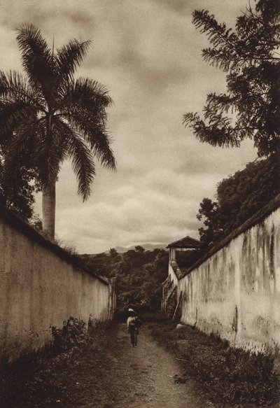 Meksika: Cuernavaca, San Antonio köyüne giden cadde (b/w fotoğraf) by Hugo Brehme
