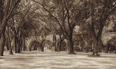 Meksika: Morelia, Eski su boru hattı (b/w fotoğraf) by Hugo Brehme