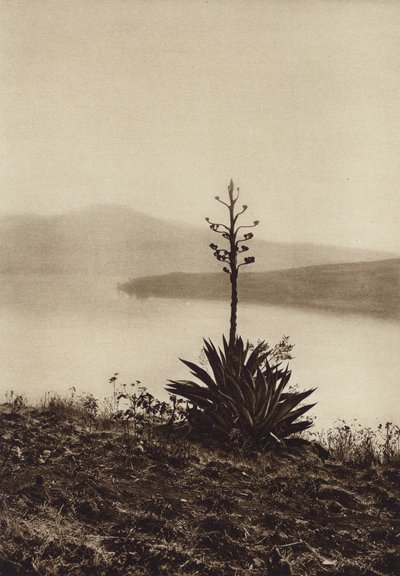  by Hugo Brehme