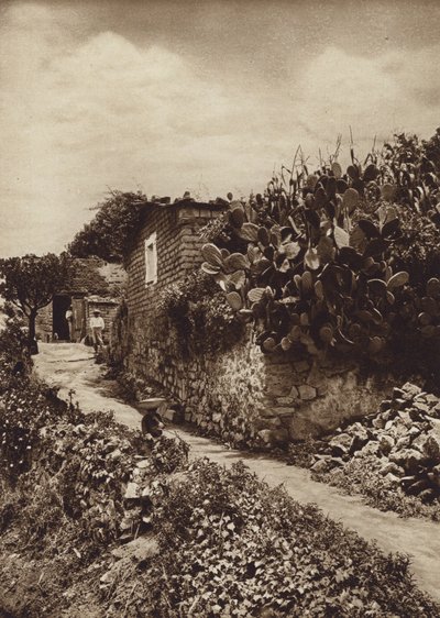 Meksika: San Angel D F