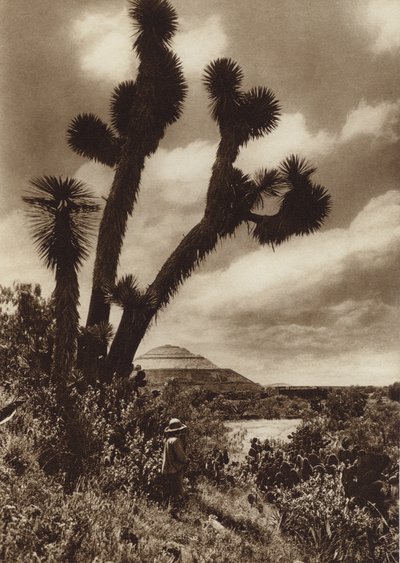  by Hugo Brehme