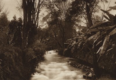 Meksika: Uruapam (siyah beyaz fotoğraf) by Hugo Brehme