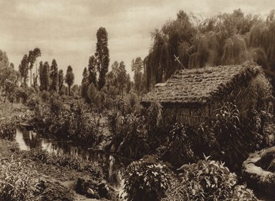 Meksika: "Yüzen Bahçeler" olarak adlandırılan Xochimilco (b/w fotoğraf) by Hugo Brehme