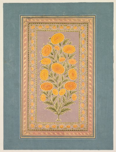 Çiçekli Kadife çiçeği, c. 1765. by Hunhar II