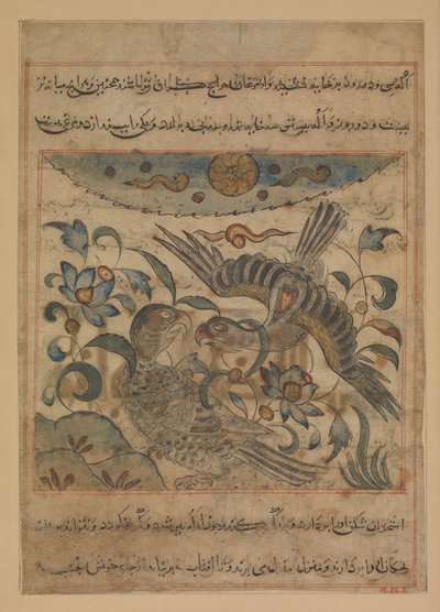 Bir Çift Kartal, Bir Manafi