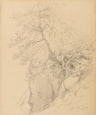 ağaç çalışması by Ignaz Dorn