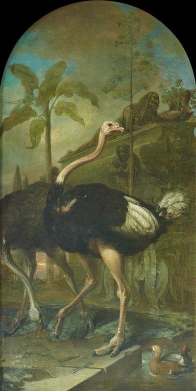 Bir çift devekuşu, arka planda bir lahit by Ignaz Heinitz von Heinzenthal