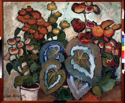 Begonyalar. Peinture de Ilya Ivanovich Mashkov (Ilia Machkov, Matchkov) (1881-1944), huile sur toile by Ilya Ivanovich Mashkov