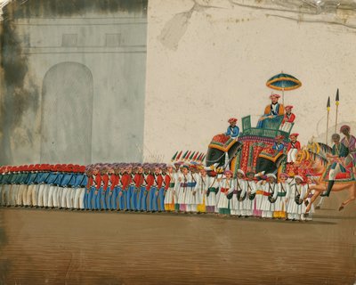 Fil Binen Sultan, c. 1800 by Indian Art