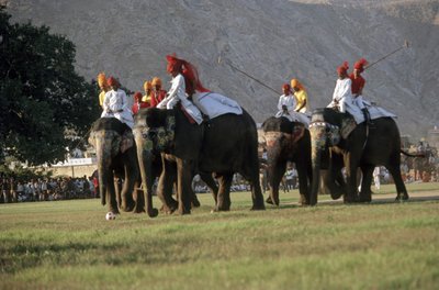 Fil polosu oynayan erkekler (fotoğraf) by Indian Photographer