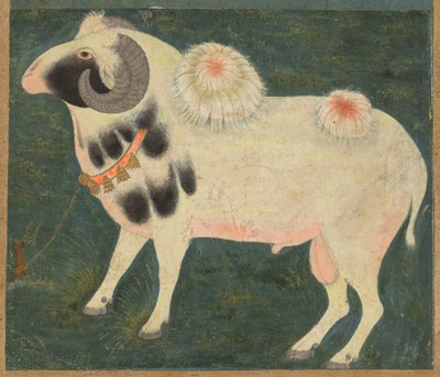 Altın zincirli bir kraliyet koçu, c. 1585 (kağıt üzerine opak suluboya ve altın) by Indian School