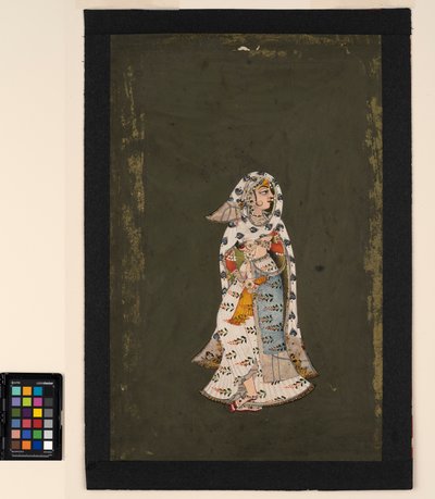 Çiçek desenli beyaz sari, tavus kuşu tüyü desenli pelerin giymiş duran bir kadın. by Indian School