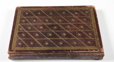 Babür hanedanı şecere albümü, 1855 (altın detaylı deri) by Indian School
