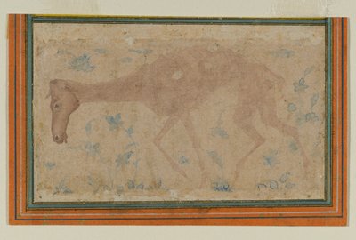 Babür veya Deccan'dan Bir Zayıf At, 17. yüzyılın ortalarında (kağıt üzerinde mürekkep ve renkli yıkama) by Indian School
