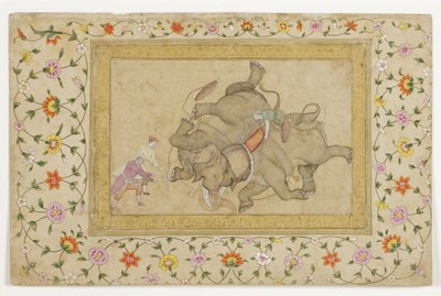 Bir fil dövüşü, bordür çiçekli arabesk, c.1610 (kağıt üzerinde opak wc ve altın rengi) by Indian School