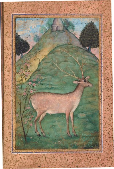 Buck in a Landscape, c.1595 (kağıt üzerinde opak wc ve altın) by Indian School