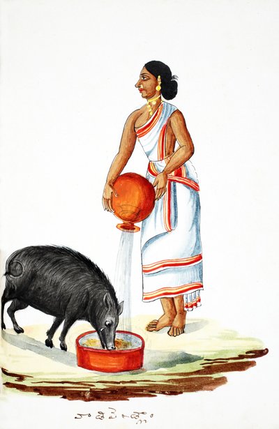 Yaban domuzu beslemek (kağıt üzerinde wc) by Indian School