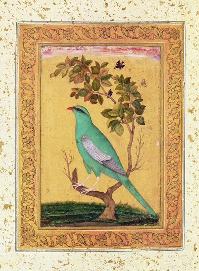 Yeşil Kuş, Babür by Indian School