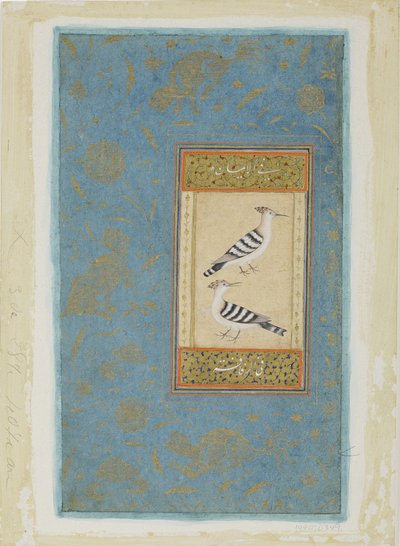 Hoopoes, c.1590 (kağıt üzerinde opak wc ve altın) by Indian School