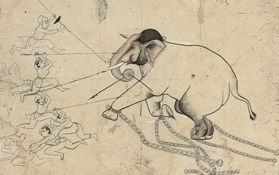 Bir filin evcilleştirilmesinin Isarda veya kotah hazırlık çizimi, c.1720 by Indian School