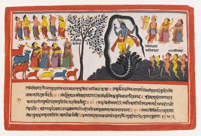 Krishna Yılan Kaliya