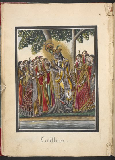  by Indian School